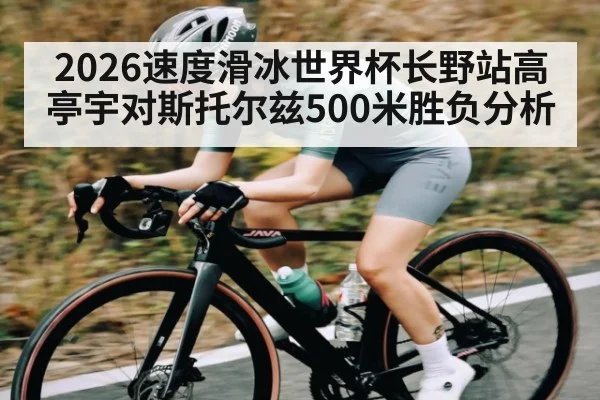 2026速度滑冰世界杯长野站高亭宇对斯托尔兹500米胜负分析